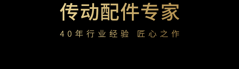 40年導(dǎo)軌齒條傳動(dòng)配件專(zhuān)家品質(zhì)保障